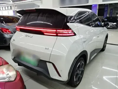 BYD Seagull