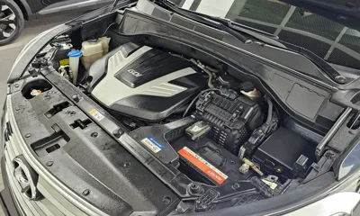 Hyundai Maxcruz