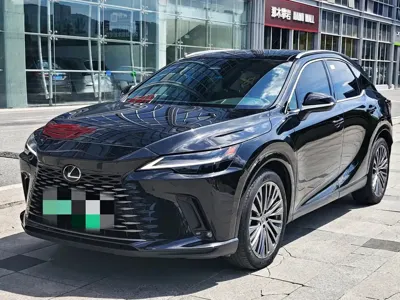 Lexus RX New Energy