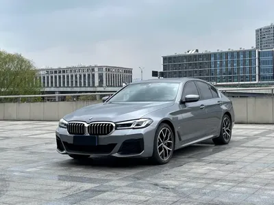 BMW 5 Series (Import)