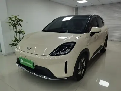 Wuling 缤果S