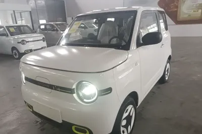 Geely Galaxy Panda