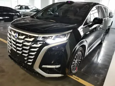 Denza Denza D9