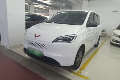 Wuling Hongguang New Energy