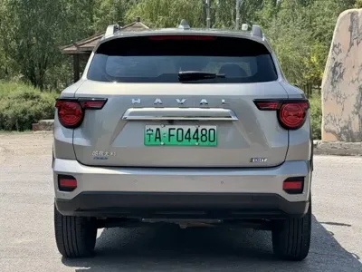 Haval 哈弗大狗 PLUS 新能源