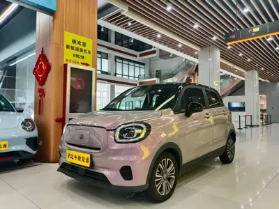 Leapmotor Leapmotor T03