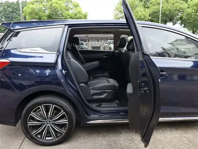 BYD MAX New Energy