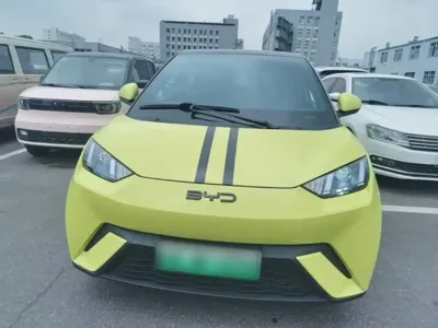 BYD Seagull