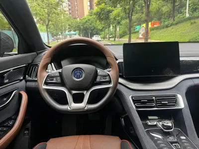 BYD PLUS