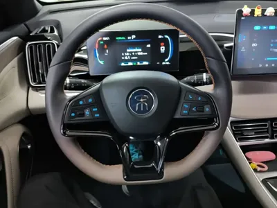 BYD Pro New Energy