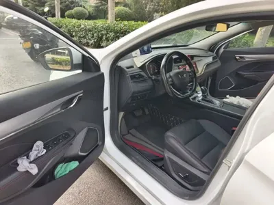 Geely Binrui