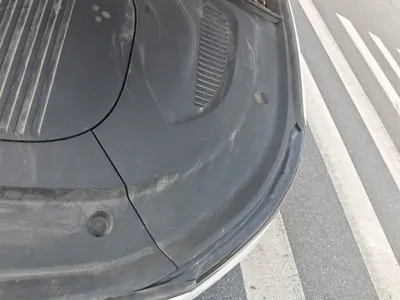 NETA Neta L