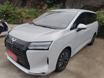 Wuling 星光730新能源