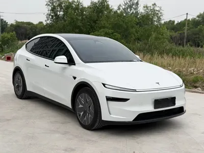 Tesla Model Y L