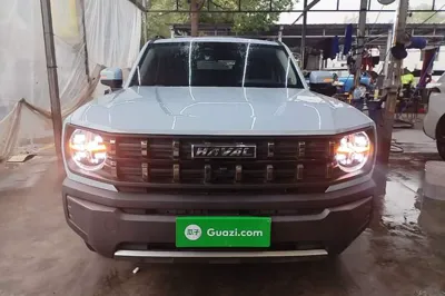 Haval X DOG