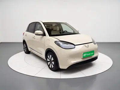 Wuling Bingo
