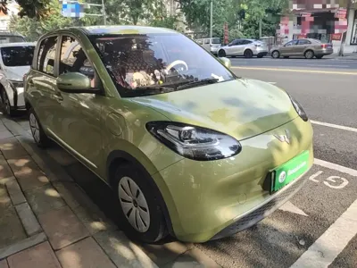 Wuling Bingo