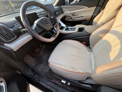 BYD Pro New Energy