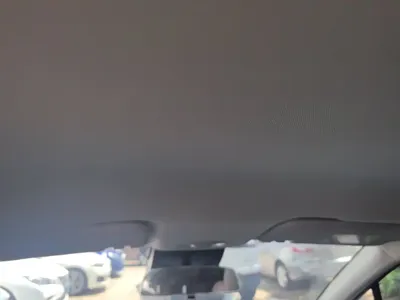 NETA Neta V