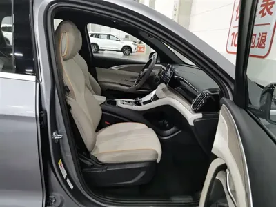 BYD Pro New Energy