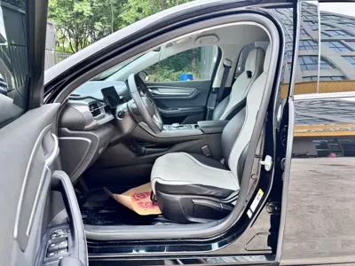 BYD Destroyer 05