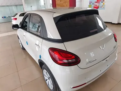 Wuling Bingo