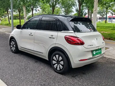 Wuling Bingo
