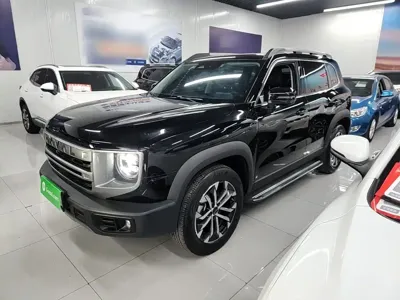 Haval Big Dog