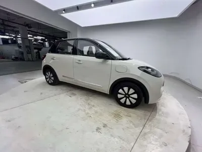 Wuling Bingo