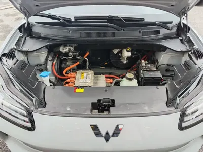 Wuling Bingo PLUS