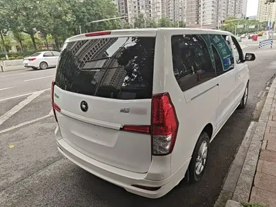 Fengxing Lingzhi PLUS