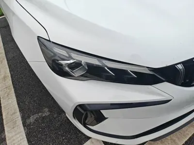 Geely Binrui