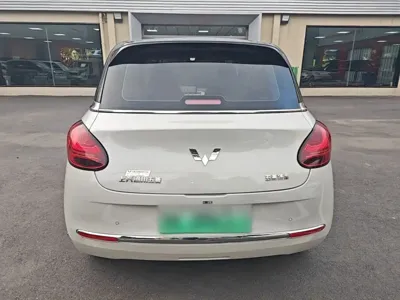 Wuling Bingo