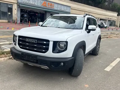 Haval Big Dog