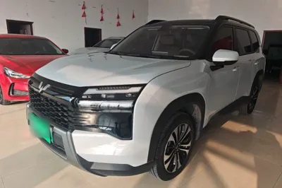 Wuling Xingguang 560 New Energy