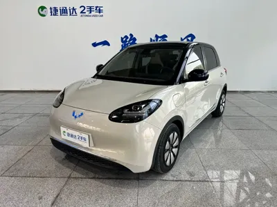Wuling Bingo