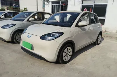 Wuling Bingo