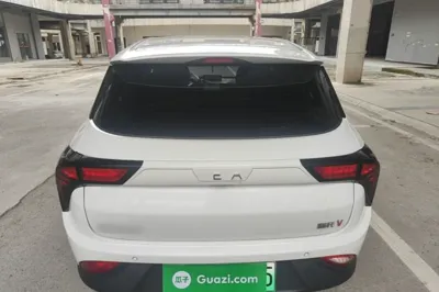 NETA V