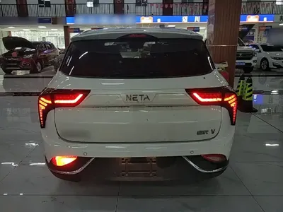 NETA Neta V