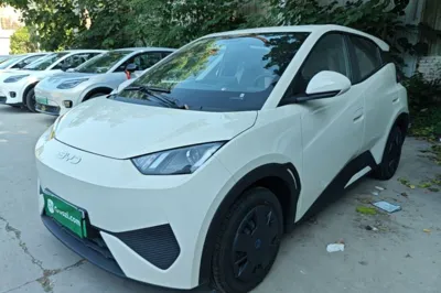 BYD Seagull