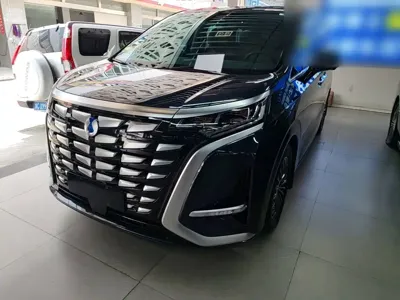 Denza Denza D9