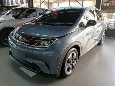 BYD Dolphin
