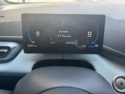 BYD Seagull