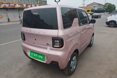 Geely Galaxy Panda