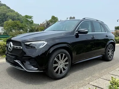 Mercedes-Benz 奔驰GLE(进口)