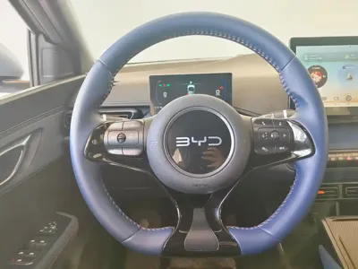 BYD Seagull