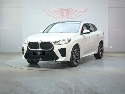 BMW X2 (Import)