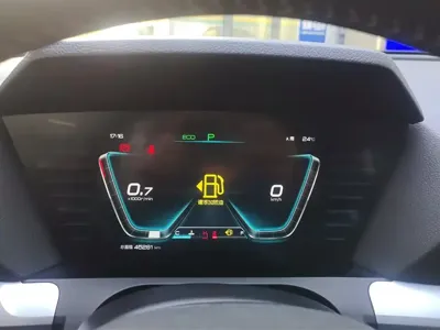 BYD Pro
