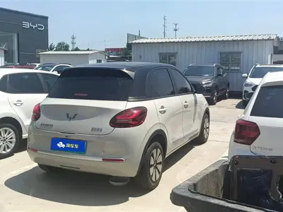 Wuling Bingo