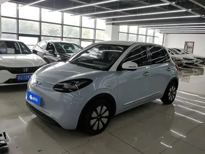 Wuling Bingo